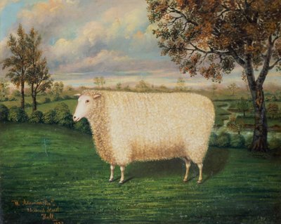 Um prêmio ovelha da raça velha de Lincoln, 1835 de W. Adamson